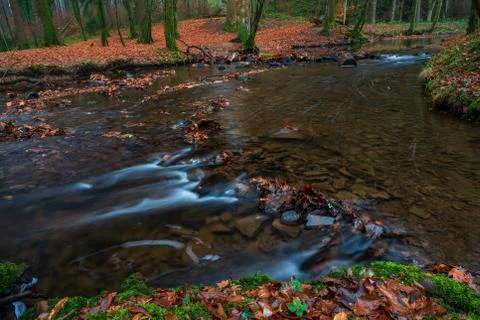 River in the woods in autumn Stock Photos