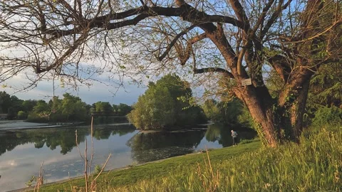 River in the woods in cloudy day Stock Footage 220679890