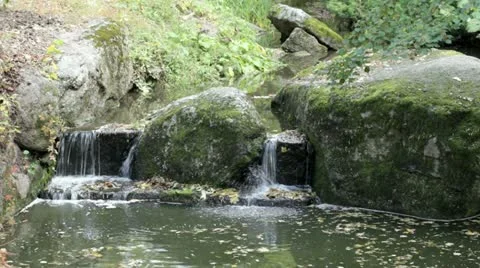 River in the woods Stock Footage 10899861