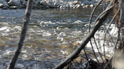 River in the Woods Stock Footage 32234255