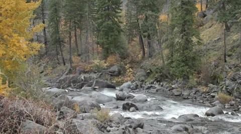 River in the Woods Stock Footage 32234279