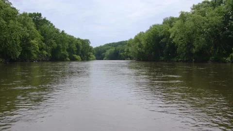 A river in the woods Stock Footage 137539588