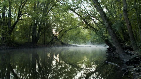 A river in the woods Stock Footage 138602173