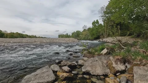 River in the woods Stock Footage 201676236