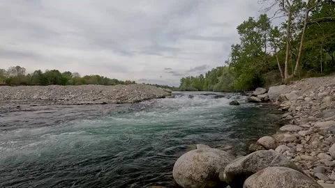 River in the woods Stock Footage 203759467