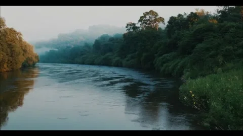 River in the woods Stock Footage 287129339