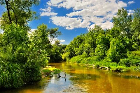 The river in the woods 스톡 사진