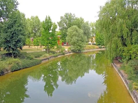 River in the woods Stock Photos