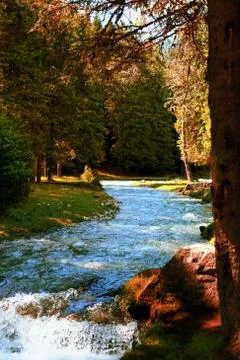 River in the woods Foto stock