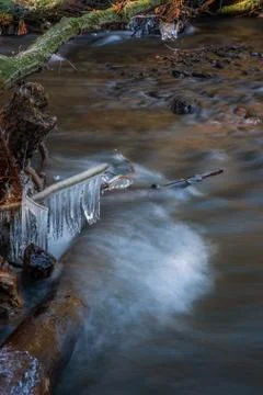 River in the woods in winter. Stock Photos