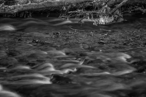 River in the woods in winter. Stock Photos