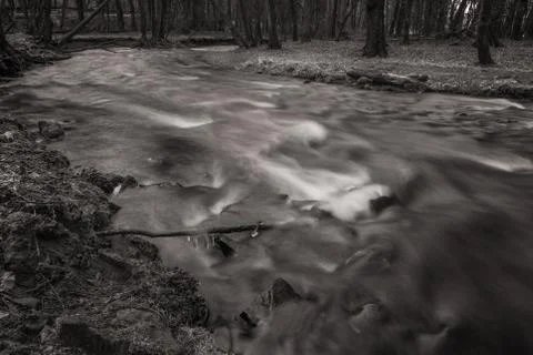 River in the woods in winter. Stock Photos