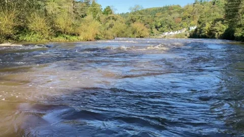 The River Wye and the Wye Valley, Herefordshire, England, UK Video stock 287994496