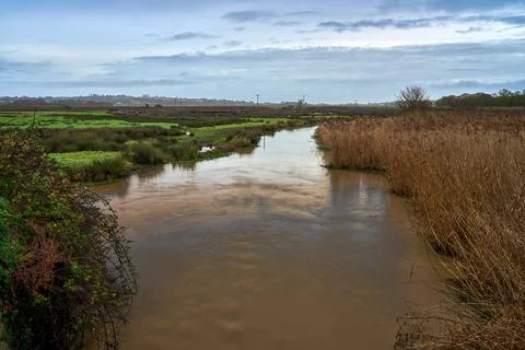 The River Yar at Brading Marshes Stock Photos