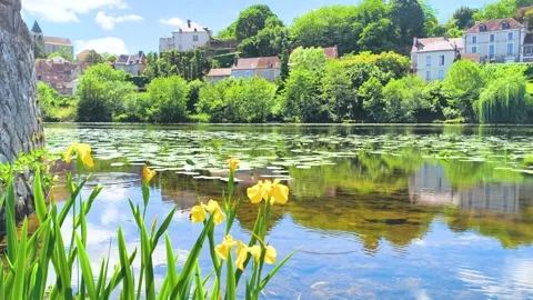 River with yellow iris flowers and historic village in background Stock-Footage 340529003