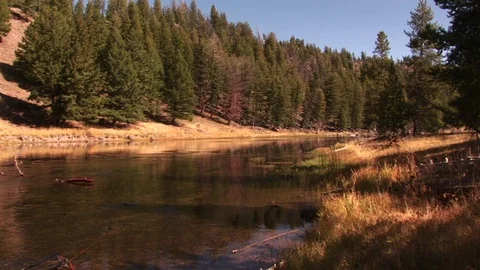 A river in Yellowstone Vídeos de archivo 72571718