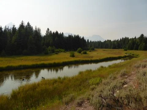 River in Yellowstone National Park Foto stock
