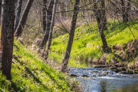 The river Zala flows through a forest, Hungary Stock Photos