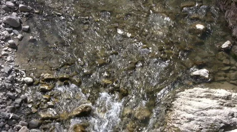 River - Zoom in Видео 660996