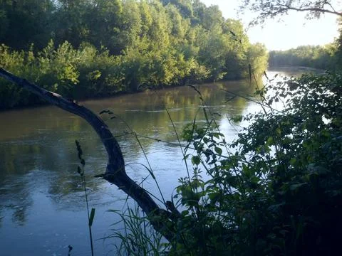 River12 Stock Photos