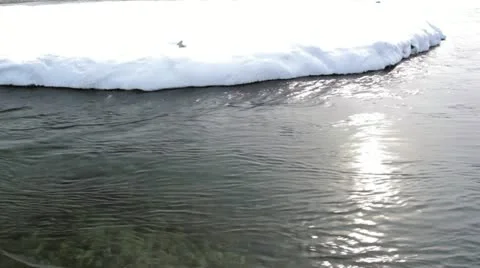 River13 Video stock 10811790