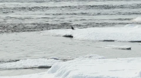 River17 库存影片 10812143