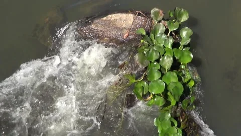 River4 Stock Footage 138095471