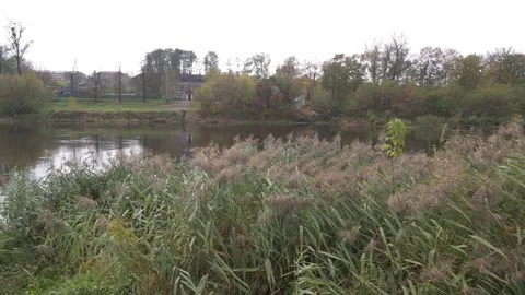 River4 Stock Footage 164335232