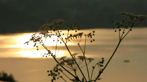 River_1 Stock Footage 32699671