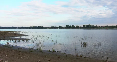 Riverbank of Danube, sand covered in empty shells and wild plants in cloudy day Stock Footage 258964194
