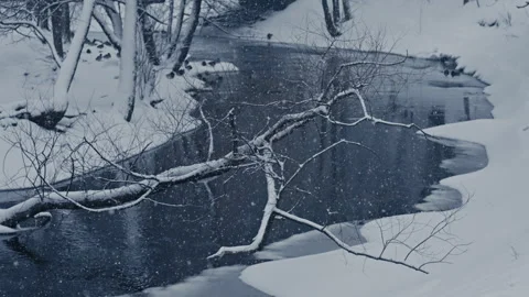 Riverbank in deep winter freeze with a fallen tree Stock Footage 300053229