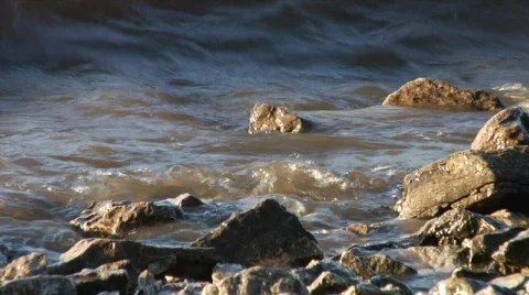 RiverBank Stock Footage 878558