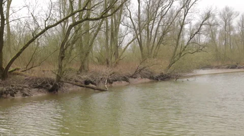 Riverbank 스톡 동영상 49158107