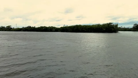 Riverbank Video stock 151658752