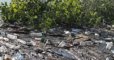 Riverbank full of plastic garbage, 4k Stock Footage 142792599