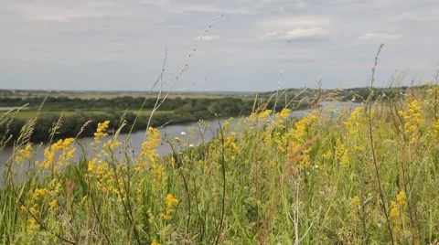 Riverbank landscape Video stock 7138471
