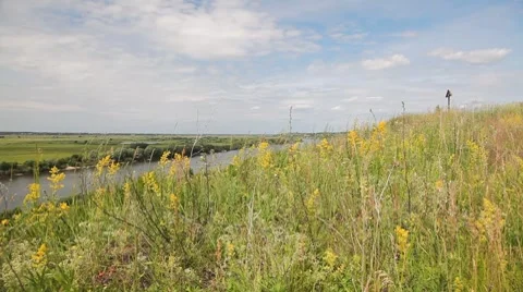 Riverbank landscape Video stock 7138479