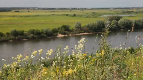 Riverbank landscape Video stock 7138549