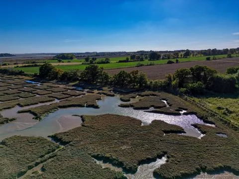 Riverbank Marsh Stock Photos