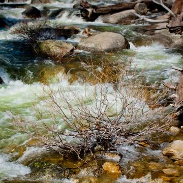 Riverbank Stock Photos