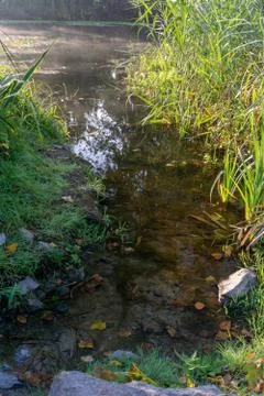 Riverbank Stock Photos
