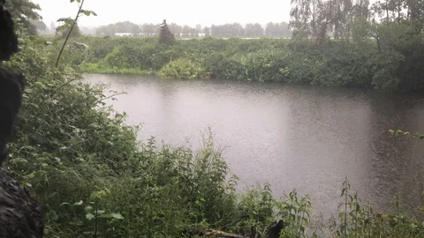 Riverbank in the rain by tree Stock-Footage 109507868
