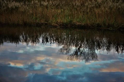 Riverbank with reflection Foto stock