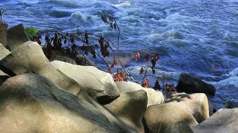Riverbank rocks Stock Footage 11058713