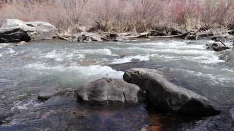 Riverbank View Video stock 273813234