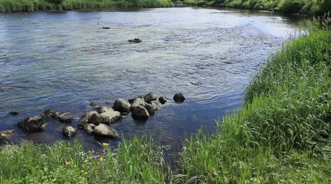 Riverbank view  river forth Stirling Stock Footage 51843542