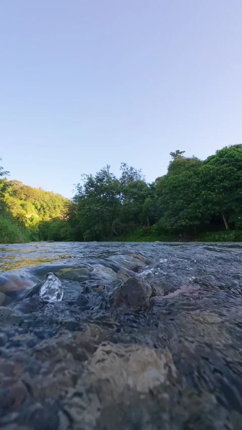Riverbed With Clear Water and Lush Trees 스톡 동영상 332861359