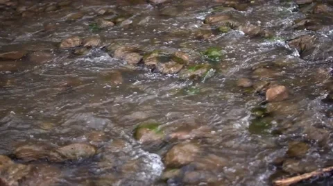 Riverbed cu-02 in payson, az Stock Footage 43386614