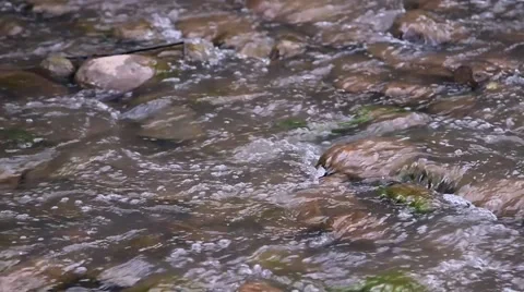 Riverbed cu in payson, az 스톡 동영상 43386526