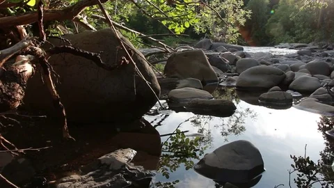 Riverbed - Dolly Shot Vídeo Stock 73234868